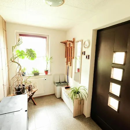 Quaint Holiday Near Forest In Ferienhaus *