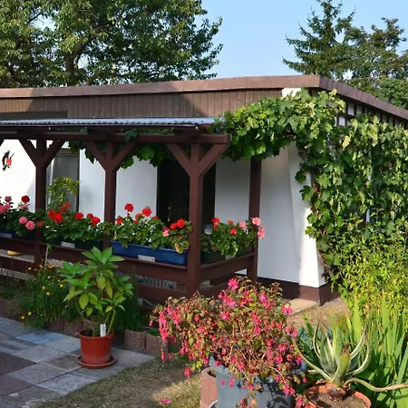Quaint Holiday Near Forest In *